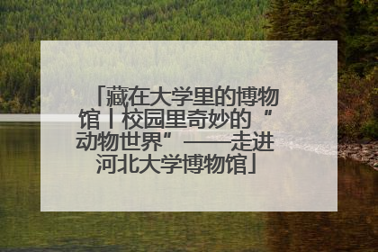 藏在大学里的博物馆丨校园里奇妙的“动物世界”——走进河北大学博物馆