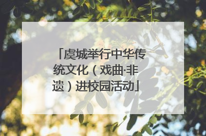 虞城举行中华传统文化（戏曲·非遗）进校园活动