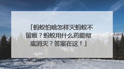 蚂蚁怕啥怎样灭蚂蚁不留痕？蚂蚁用什么药能彻底消灭？答案在这！