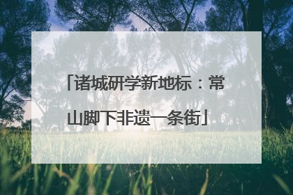 诸城研学新地标：常山脚下非遗一条街