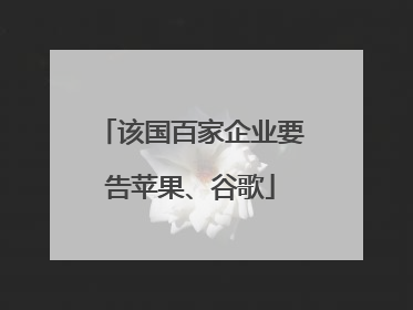 该国百家企业要告苹果、谷歌