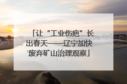 让“工业伤疤”长出春天——辽宁加快废弃矿山治理观察