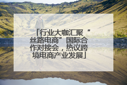 行业大咖汇聚“丝路电商”国际合作对接会，热议跨境电商产业发展