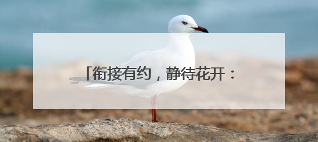 衔接有约，静待花开：福莱山街道中心幼儿园开展幼小衔接专题讲座