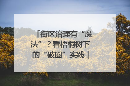 街区治理有“魔法”？看梧桐树下的“破圈”实践｜我在街区当书记