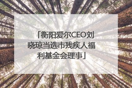 衡阳爱尔CEO刘晓琼当选市残疾人福利基金会理事