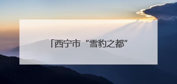 西宁市“雪豹之都”生态摄影展征稿启事