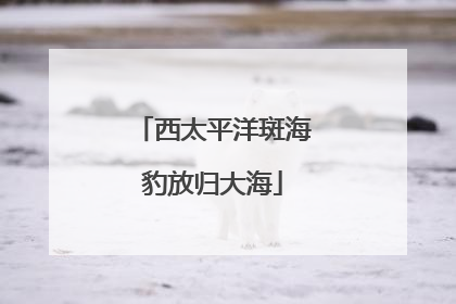 西太平洋斑海豹放归大海