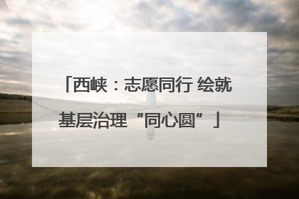西峡：志愿同行 绘就基层治理“同心圆”