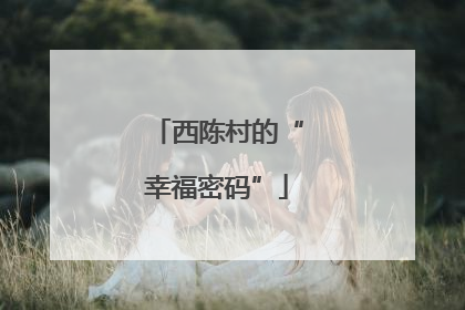 西陈村的“幸福密码”