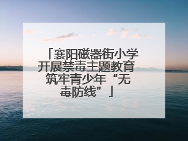 襄阳磁器街小学开展禁毒主题教育 筑牢青少年“无毒防线”