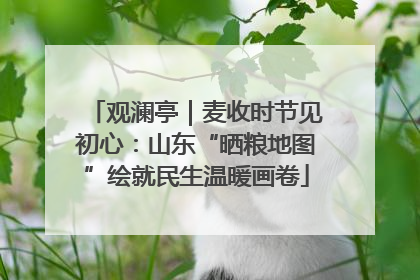 观澜亭｜麦收时节见初心：山东“晒粮地图”绘就民生温暖画卷