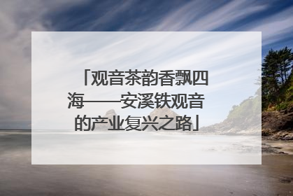 观音茶韵香飘四海——安溪铁观音的产业复兴之路