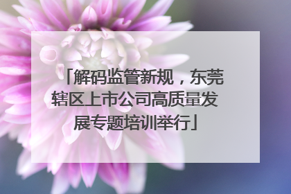 解码监管新规，东莞辖区上市公司高质量发展专题培训举行