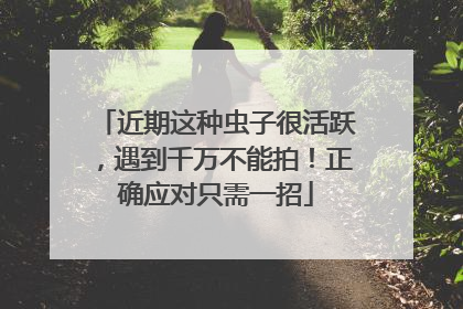 近期这种虫子很活跃，遇到千万不能拍！正确应对只需一招