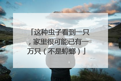 这种虫子看到一只，家里很可能已有一万只（不是蟑螂）