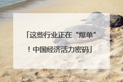 这些行业正在“爆单”！中国经济活力密码