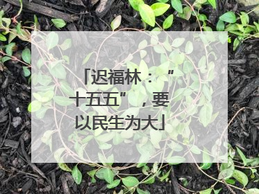 迟福林：“十五五”，要以民生为大