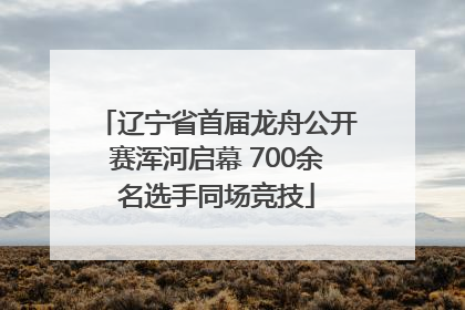 辽宁省首届龙舟公开赛浑河启幕 700余名选手同场竞技