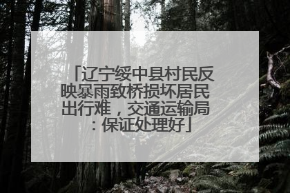 辽宁绥中县村民反映暴雨致桥损坏居民出行难，交通运输局：保证处理好