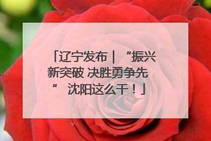 辽宁发布｜“振兴新突破 决胜勇争先” 沈阳这么干！