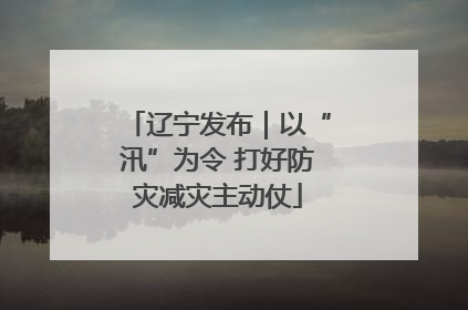辽宁发布｜以“汛”为令 打好防灾减灾主动仗