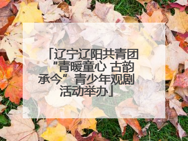 辽宁辽阳共青团“青暖童心 古韵承今”青少年观剧活动举办
