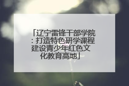 辽宁雷锋干部学院：打造特色研学课程 建设青少年红色文化教育高地