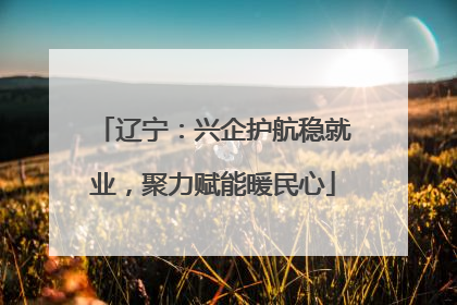 辽宁：兴企护航稳就业，聚力赋能暖民心