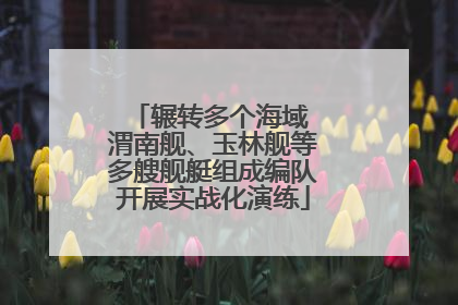辗转多个海域 渭南舰、玉林舰等多艘舰艇组成编队开展实战化演练