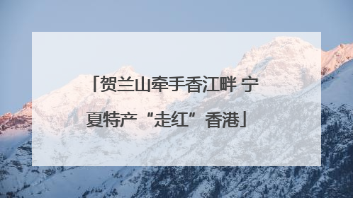 贺兰山牵手香江畔 宁夏特产“走红”香港
