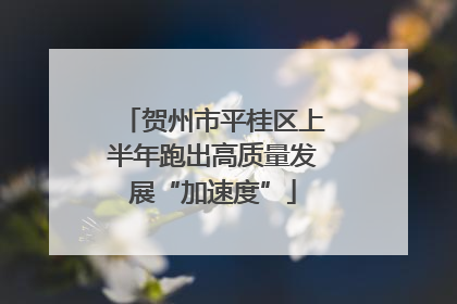 贺州市平桂区上半年跑出高质量发展“加速度”