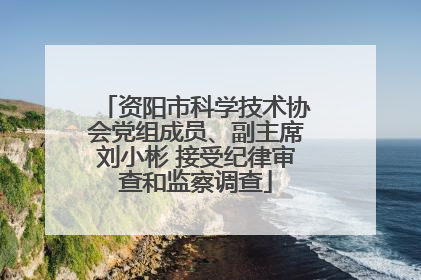 资阳市科学技术协会党组成员、副主席刘小彬 接受纪律审查和监察调查