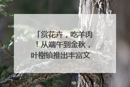 赏花卉，吃羊肉！从端午到金秋，叶榭镇推出丰富文旅活动邀您爽玩