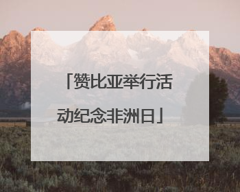 赞比亚举行活动纪念非洲日