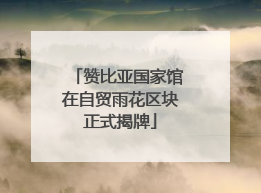 赞比亚国家馆在自贸雨花区块正式揭牌
