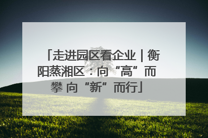 走进园区看企业｜衡阳蒸湘区：向“高”而攀 向“新”而行