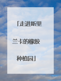 走进斯里兰卡的橡胶种植园