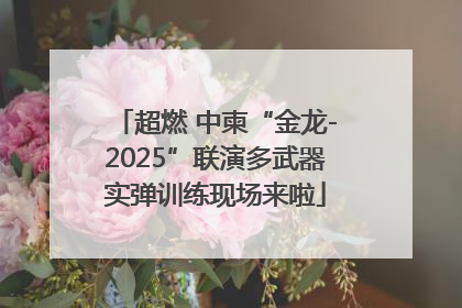 超燃 中柬“金龙-2025”联演多武器实弹训练现场来啦