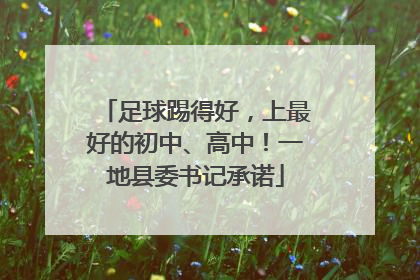 足球踢得好，上最好的初中、高中！一地县委书记承诺