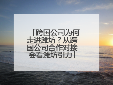 跨国公司为何走进潍坊？从跨国公司合作对接会看潍坊引力