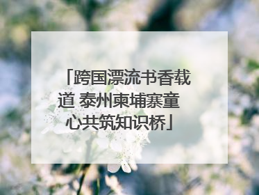 跨国漂流书香载道 泰州柬埔寨童心共筑知识桥