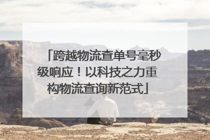 跨越物流查单号毫秒级响应！以科技之力重构物流查询新范式