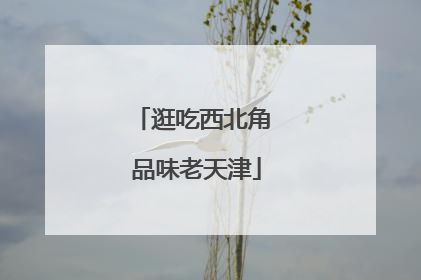 逛吃西北角 品味老天津