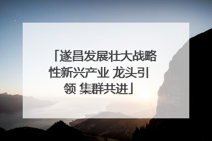 遂昌发展壮大战略性新兴产业 龙头引领 集群共进