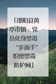 邵阳县黄亭市镇：党员化身禁毒“多面手” 织密禁毒防护网