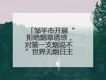 邹平市开展“拒绝烟草诱惑，对第一支烟说不”世界无烟日主题宣传活动