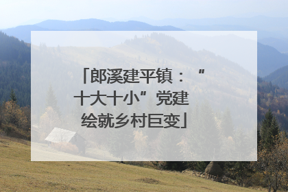郎溪建平镇：“十大十小”党建 绘就乡村巨变