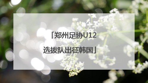 郑州足协U12选拔队出征韩国