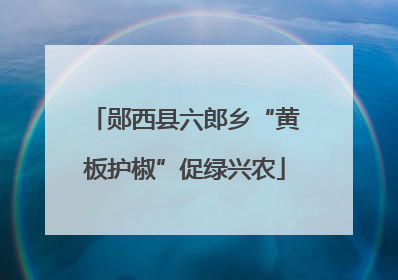 郧西县六郎乡“黄板护椒”促绿兴农